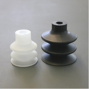 真空91看片网站入口